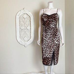 Boston Proper Leopard Print Lace Corset Dress
